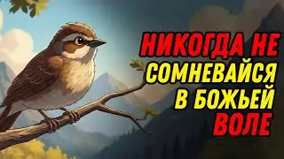 У Бога есть лучший план для тебя | Мотивационная история с жизненным уроком|История маленькой птички