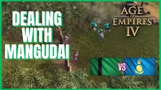 AOE IV Solo Ranked Season 8; Delhi vs. Mongols on Lipany