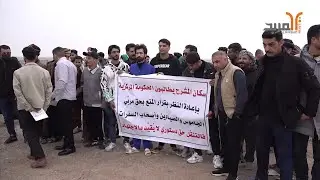 بسبب 