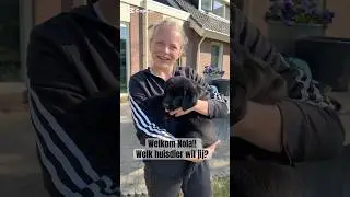 Welk huisdier wil jij?!