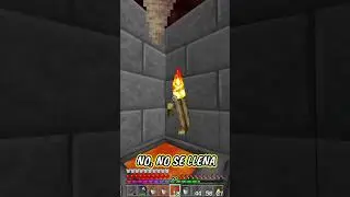 SE PUEDE LLENAR LA BOTELLA DE LAVA EN MINECRAFT?? 🧐