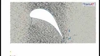 Condensation & Liquid Film on Steam Turbines: Effects of the Boundary Layer