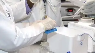 Looking at new treatment for rabies