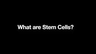 What are  Stem Cells? #shorts #kimkardashian