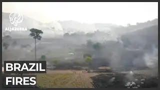 Brazil: World's largest wetland faces record wildfires
