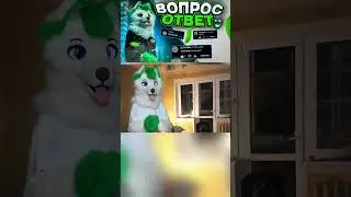 Хобби У Грини! #grinya #гриня #kurgan #курган #фурри #антифурри #antifurry