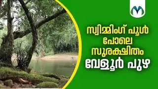 പ്രകൃതി സൗന്ദര്യം നിറഞ്ഞൊഴുകും ഇടുക്കിയിലെ വേളൂർ പുഴ  | Veloor River | Idukki
