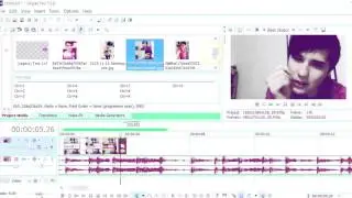Sony Vegas Pro Tutorial | Effect #1