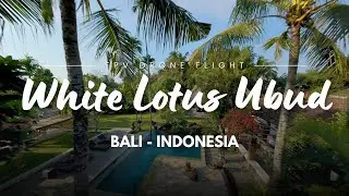 Bali FPV drone flight - My home in Ubud - DJI Avata 2