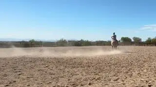 Restarting a horse… good training should be boring!!