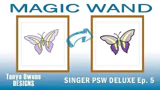 How to Create a Custom Embroidery Design with PSW Deluxe: Magic Wand Tool