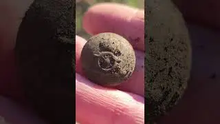 Royal artillery button, metal detecting. #minelabmanticore #metaldetecting #treasuresearch #military