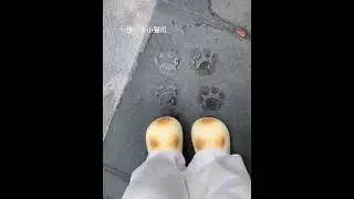 As the weather gets colder, some humans grow kitten claws