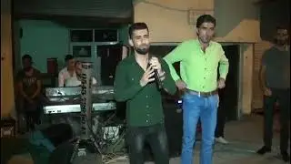 الفنان مفيد الضيف والمايسترو عزيز ابو الريز موال 2019