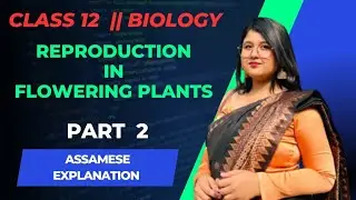 SEXUAL REPRODUCTION IN FLOWERING PLANTS CLASS 12 BIOLOGY | PART 2 | PATTERN CLASSES