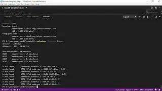 Find the TTL of Existing NS Records [Route 53 DNS]