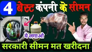 🐄Ai के लिए 4 बेस्ट कंपनी के सीमन(Semen)🐃! a.i.in cattle || ai का रिजल्ट बढ़ाओ | HADA VETS CLUB ||