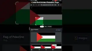 Lets find hidden Palestine flags