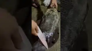 REMOVING FISH SCALE OR KALISKIS NG ISDA #removing #fishscale #fish #foodie #shorts #viral #asmr