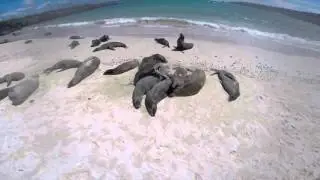 Drozdovs Explore Galapagos