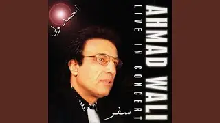 Wasle Nekoyan وصل نیکویان