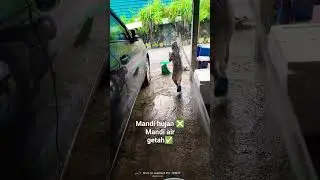 Rara mandi 2023