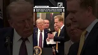 &laquo;Это ИИ&raquo;: Трамп отреагировал на вирусное видео с загадочными предметами, выброшенными из окна Бел...