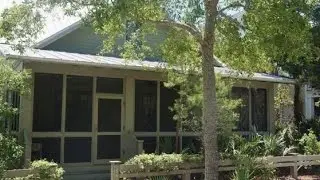 56 Buttercup Watercolor, Fl 32459