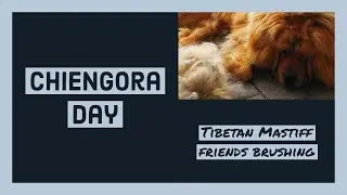 Chiengora Day