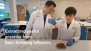 This innovative process extracts protein from beer-brewing leftover grains