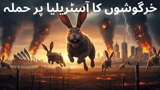 Rabbits in Australia 🐇 || Full story || Informative videos