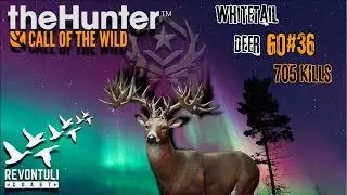 WhiteTail Deer GO#36! Revontuli Coast!! TheHunter Call Of The Wild!!