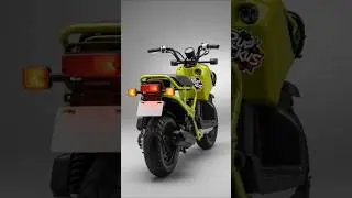 2026 Honda Ruckus Revealed! Price, Specs, Top Speed & What&rsquo;s New 🚀