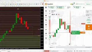 💰 IQ Option Trading Secret 🔥 95% Winning Rate 📊 Non Repaint Indicator 2025