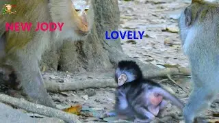 LOVELY MONKEY JODY .....GRAND MAMA TERESA COME TO WELCOME BABY JODY FRONT MOM JANE |