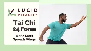 White Stork Spreads Wings  &ndash; Tai Chi 24 Essential Movement Breakdown