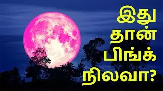 Watch Till End | Unseen Pink Moon | Time Lapse with iPhone SE
