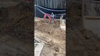 Live: Battle of the Backyard: Excavator vs Nature #128 | God of Ruin akkiro0m