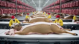 Inside the Deer Skin Gloves Factory – Full Process How Luxury Gloves Are Made