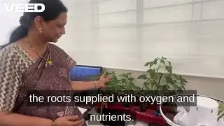 Deep Water Culture Explained VEED 1
