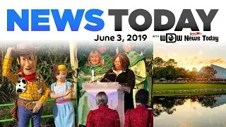 New Fireworks for Christmas Party, Bo Peep Meet & Greet, Rose Walk Path - News Today for 6/3/19