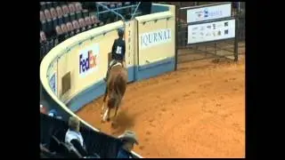 2011 AQHA Progressive Working Hunter World Champion