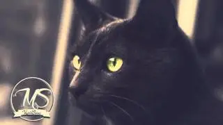 Patrick Scullion - Perished (Original Mix)