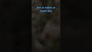 granny jumpscare, are ye kahan se tapak layi #granny #grannyjumpscare #gaming