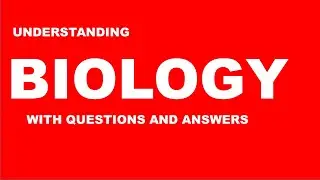 Understanding SMALL INTESTINE with questions and answers