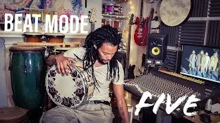 DANNY SHAW: BEAT MODE - THE FIFTH