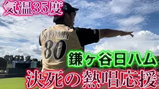 【真夏の奇跡】鎌ヶ谷で日本ハムの2軍選手に応援歌を浴びせまくったらサヨナラ勝ちしました