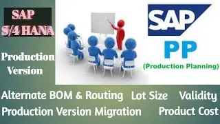 Производственная версия SAP PP S4 HANA (C223)