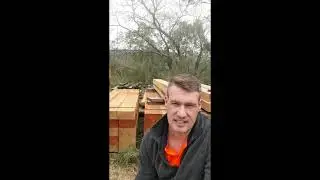 CCA Treated Pine Timber