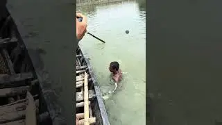 পানির নিচে শ্বাস আটকে রেখে দুঃসাহসিক শিকার! #shortvideo #subscribe 